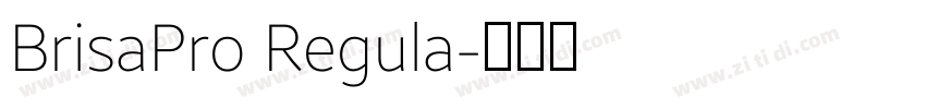 BrisaPro Regula字体转换